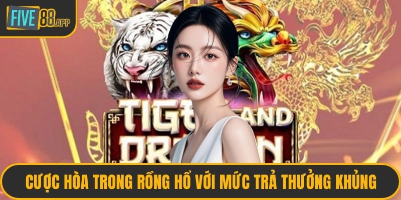 Cược Hòa trong Rồng hổ với mức trả thưởng khủng