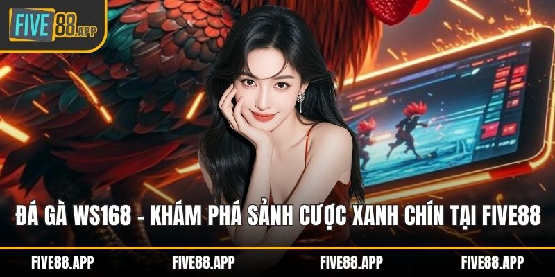 Đá gà WS168
