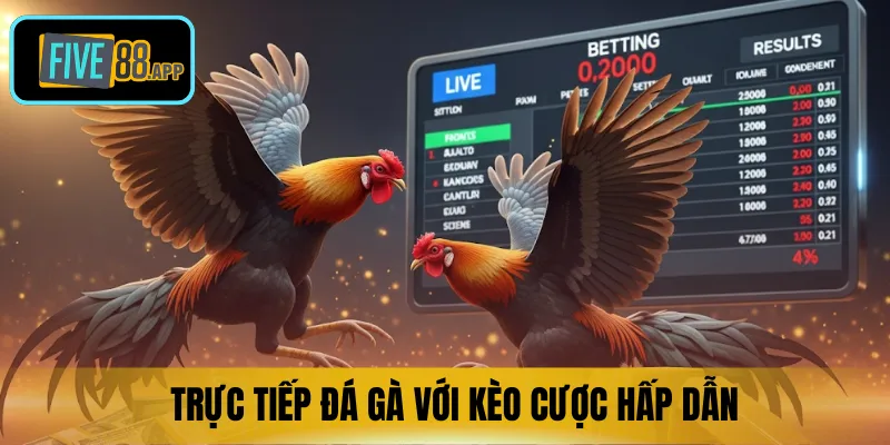 Trực tiếp Đá gà với kèo cược hấp dẫn